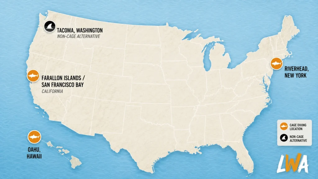 Map showing best shark cage diving experiences locations