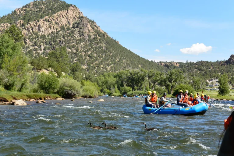 Helmeted rafters in blue inflatable boats on a river, with rocky hills, trees and geese in the foreground.