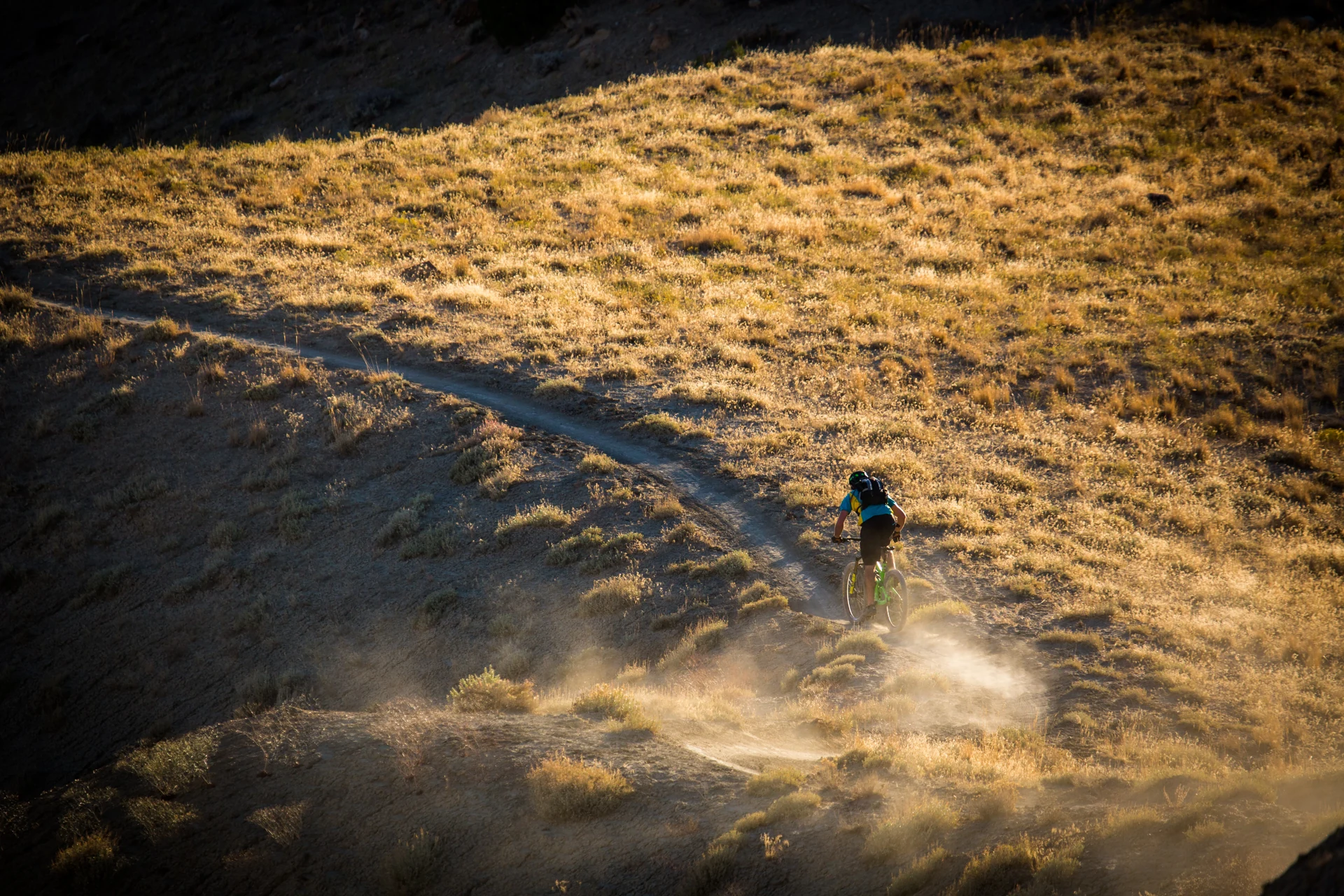 A helmeted mountain biker following a winding dirt trail through sunlit dry grass, with dust behind the bike.