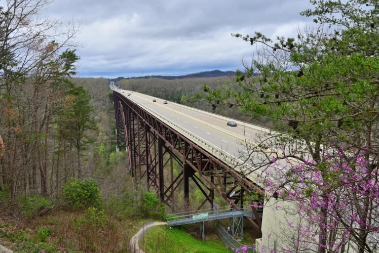 A steel road bridge crossing a forested gorge, with a metal access walkway beneath its near end.